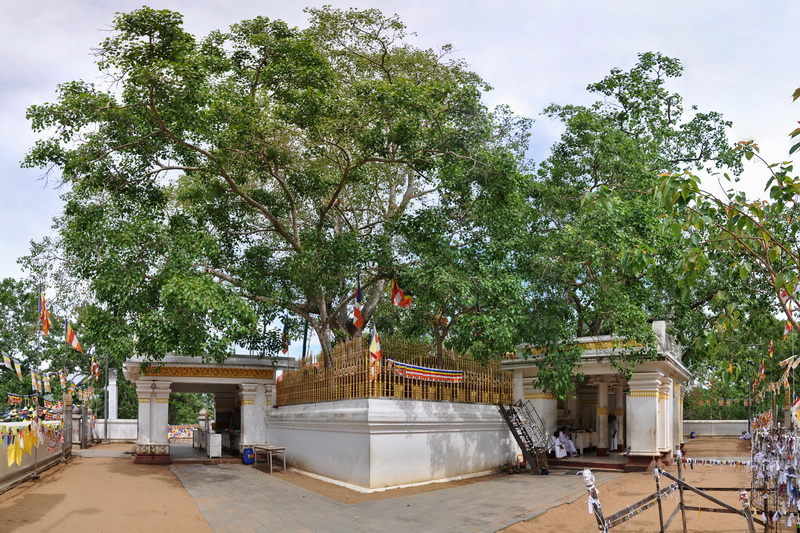 Sri Lanka, Anuradhapura 